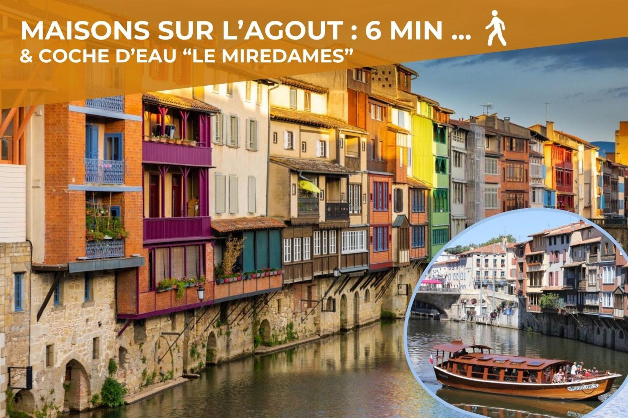 L'Eveche - T3 Spacieux & Traversant En Hypercentre Castres  Zewnętrze zdjęcie